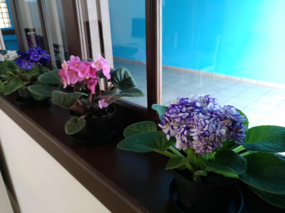 פומרוד Hostel Villa Pomerania מראה חיצוני תמונה